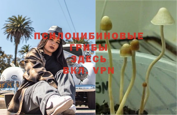ALPHA PVP Наволоки